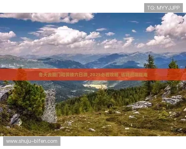 篮球直播玩球大型赛事预热防骗避坑指南